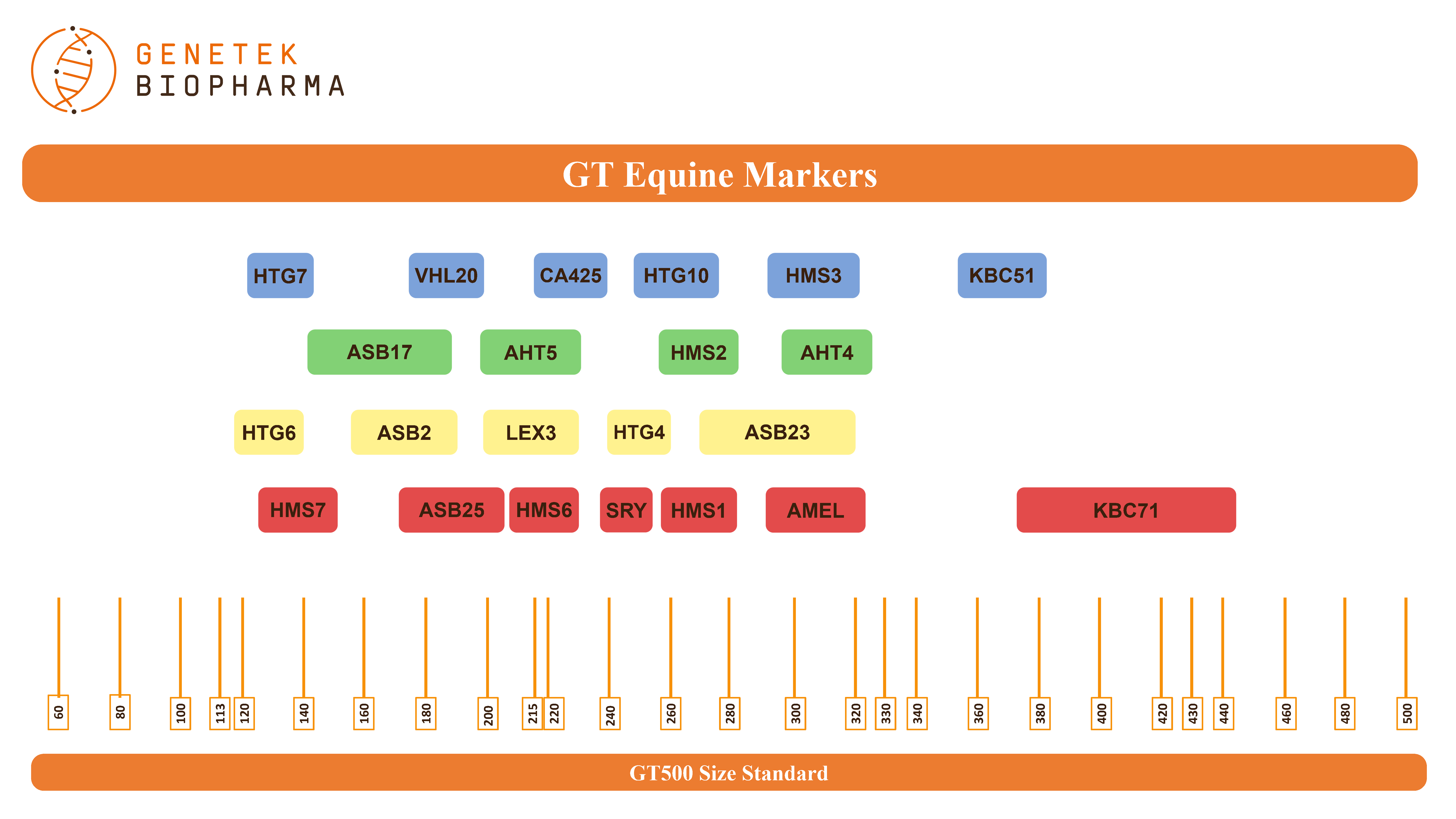 GT Equine Markers